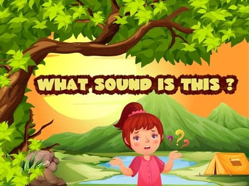 Capture d'écran de What sound is this ?