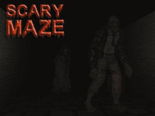 Capture d'écran de Scary Maze