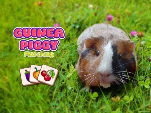 Capture d'écran de Guinea Piggy Matching