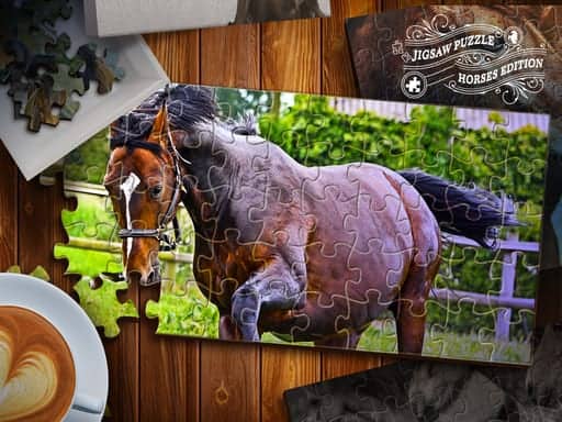 Capture d'écran de Jigsaw Puzzle Horses Edition