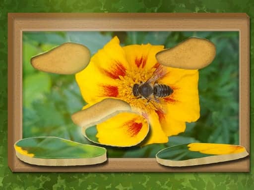 Capture d'écran de Find & Restore: Hidden Puzzle