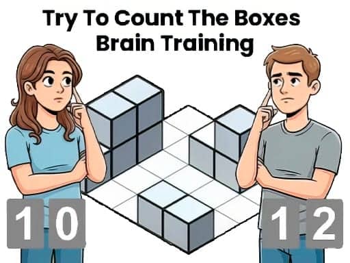 Capture d'écran de Try To Count The Boxes Brain Training
