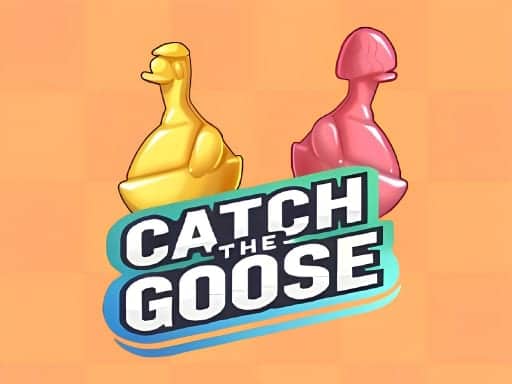 Capture d'écran de Catch The Goose