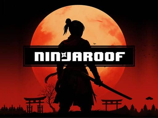Capture d'écran de NinjaRoof