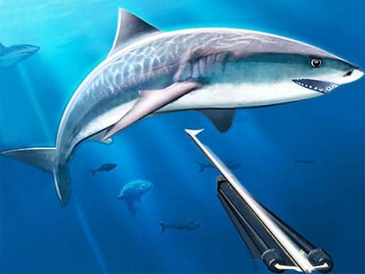 Capture d'écran de Hunting underwater spearfishing