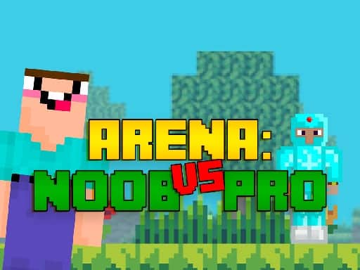 Capture d'écran de Arena: Noob vs Pro