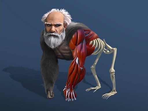 Capture d'écran de Idle Evolution From Cell to Human