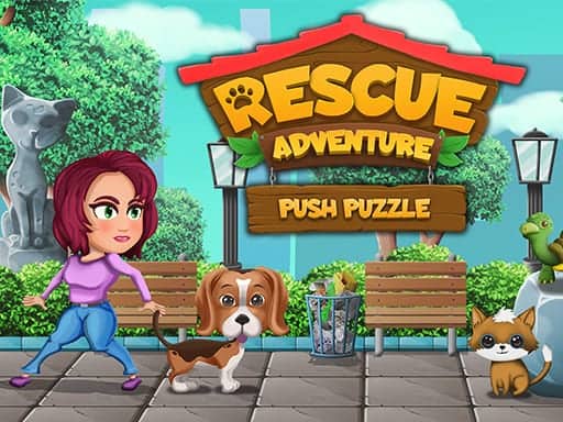 Capture d'écran de Push Puzzle Rescue Adventure