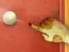 Capture d'écran de Zombilliards
