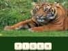 Capture d'écran de Zoo Trivia