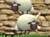 Capture d'écran de Shaun The Sheep Sheep Stack