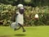 Capture d'écran de Shaun The Sheep Chick n Spoon